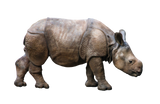 Rhino Pills Explained: Risks, Side Effects, and Safer Alternatives